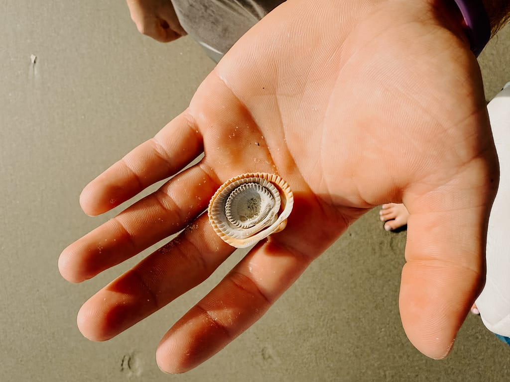 how to feel grounded after traveling