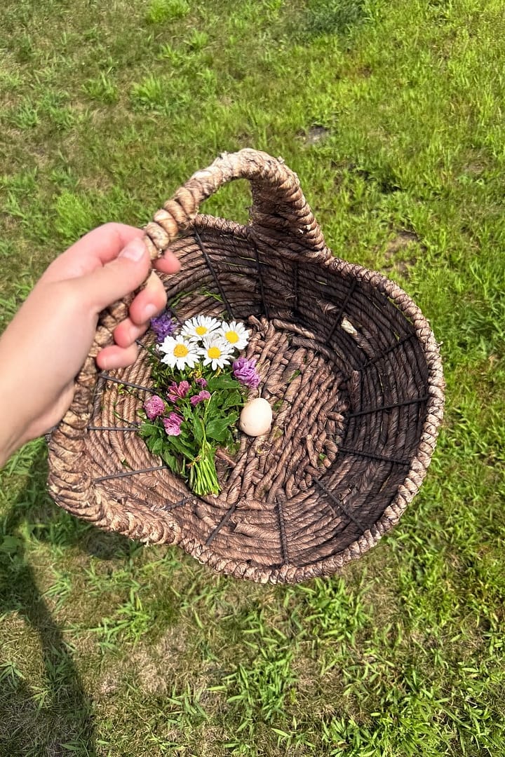 fist chicken egg rasing our backyard flock